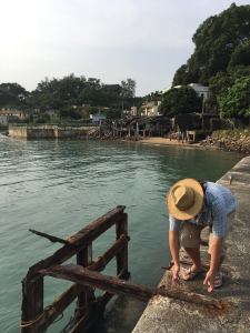 12122514_1252952208063924_3908783180630500120_n